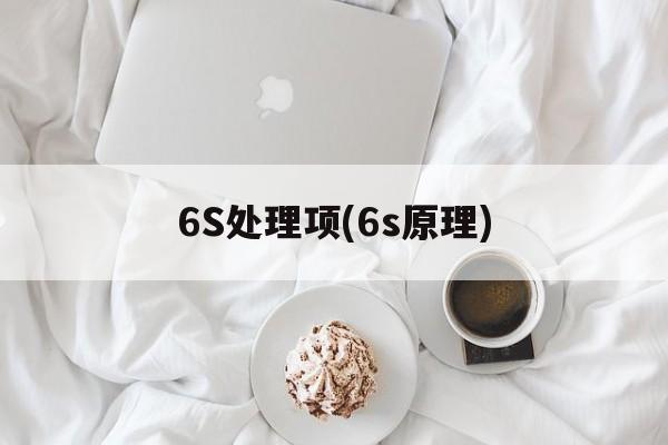 6S处理项(6s原理)