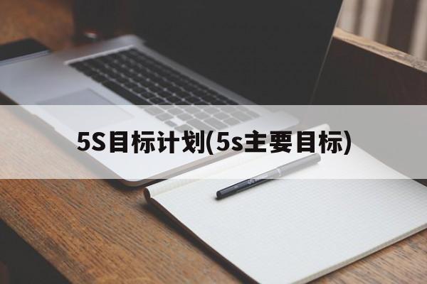 5S目标计划(5s主要目标)